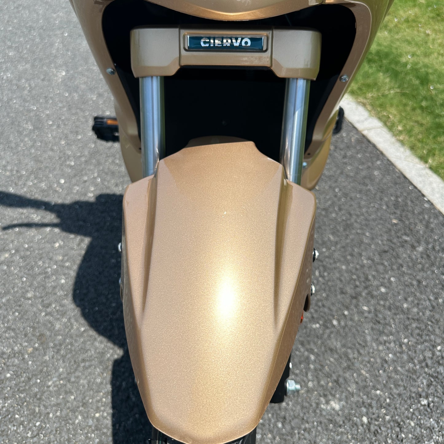 CITYALL S 1000 GOLD BROWN