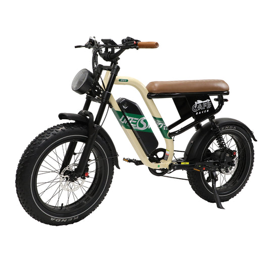 E-BIKE BW66